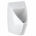 Urinal ADA Compliant White Unfinished