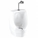 Urinal ADA Compliant White Unfinished