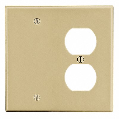 Duplex/Blank Wall Plate Ivory