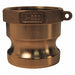 Cam and Groove Adapter 3/4 Brass