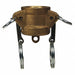 Dust Cap Type DC Forged Brass 3/4 