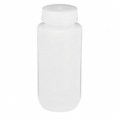 Bottle 170 mm H Natural 73 mm Dia PK12