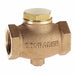 Check Valve 0 to 115 CFM 1 (F)NPT