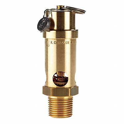 Air Safety Valve 1/2 (M) NPT Inlet