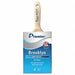 Paint Brush 4 in Wall Polyester Soft