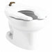 Toilet Bowl Flush 1.28 or 1.6 gal White