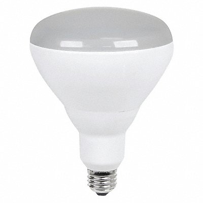 LED 15.5 W BR40 Medium Screw (E26)