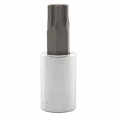 Socket Bit Steel 1/2 in TpSz 1/2 in