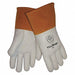 Gloves PR