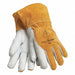 Gloves PR