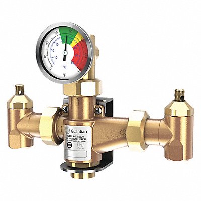 Thermostatic Mixing Valve 1/2 NPT