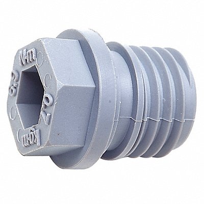 Oil Drain Plug