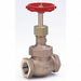 Globe Valve 1 Bronze FNPT 600 psi