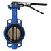 Wafer 150lb. Butterfly Valve IronDisc 4 