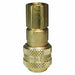 Industrial Auto FNPT 1/4 Coupler 1/4 SS