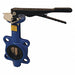 Manual Butterfly Valves