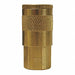 Automotive Coupler Female Brass 1/4 