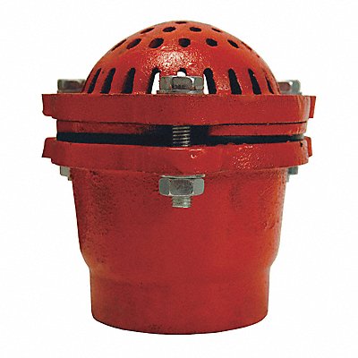 Cast Iron Threaded Foot Valve 3 