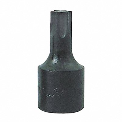 Torx Socket T40 3/8 D Black