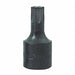 Torx Socket T40 3/8 D Black