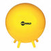 FitPro Ball 65cm Ball Stability Legs