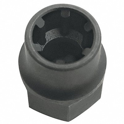 Belt Tensioner Socket Toyota