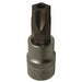 Tamper Proof Socket 5 Point T30