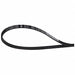 Dryer Drum Belt