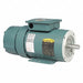General Purpose Motor 230V AC/460V AC
