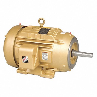 General Purpose Motor 230V AC/460V AC