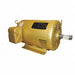 General Purpose Motor 230V AC/460V AC