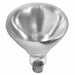 Incandescent Heat Bulb R40 1200 lm 250W