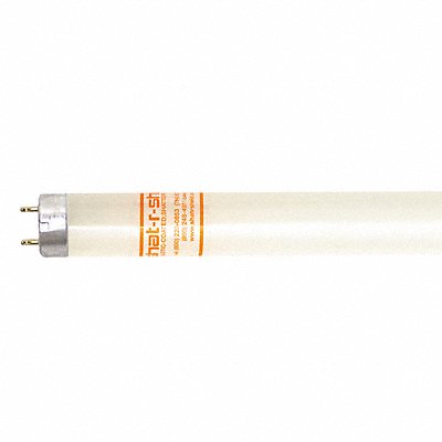 Fluorescent 4 32W T8 7500K 93 CRI PK30