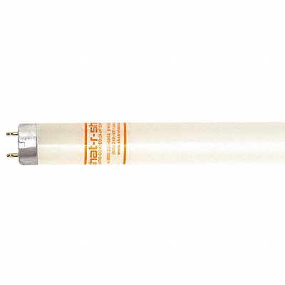 Fluorescent 4 32W T8 5000K PK30