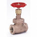 Globe Valve 1 Bronze FNPT 300 psi