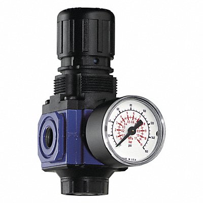 Pneumatic Regulator w/Gauge