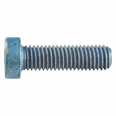 Socket Head Cap Screws