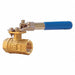 Deadman Handle Brass Ball Valve 3/4 