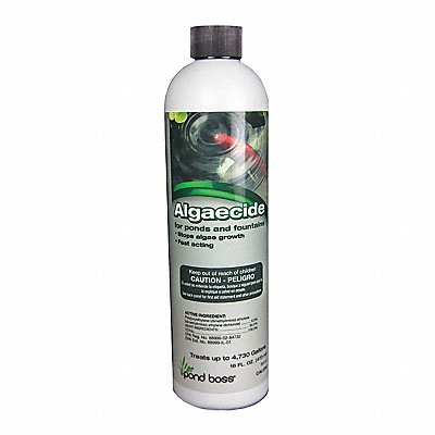 Algaecide for Pond and Fountains 16oz.