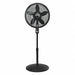 Pedestal Fan w/Remote 18 Black