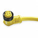 Cordset 4 Pin Receptacle Female