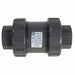 True Union Check Valve PVC 2-1/2 FNPT