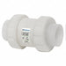 Union Check Valve Polypropylene 2 FNPT