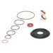 Backflow Preventer Repair Kit