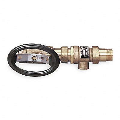 Check Valve w/ Port Brass 3/4 MNPTxFNPT