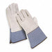 D1574 Leather Gloves Gray L PR