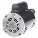 Motor 1/2 HP 1725 rpm 48Z 115/230V