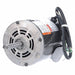 Motor 1/3 HP 1140 rpm 56Z 115V