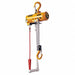 Air Chain Hoist 250 lb Cap. 10 ft Lift