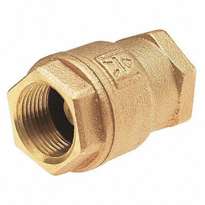 Spring Check Valve Bronze 2 FNPT